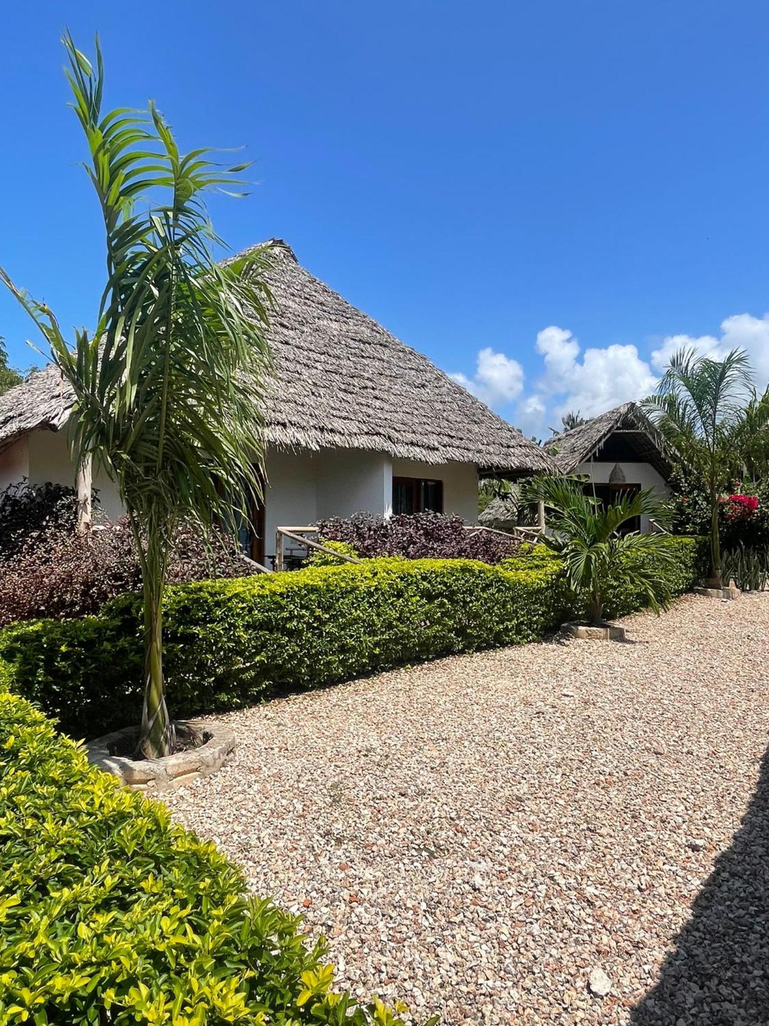 Kokopelli Bungalows Nungwi Zewnętrze zdjęcie