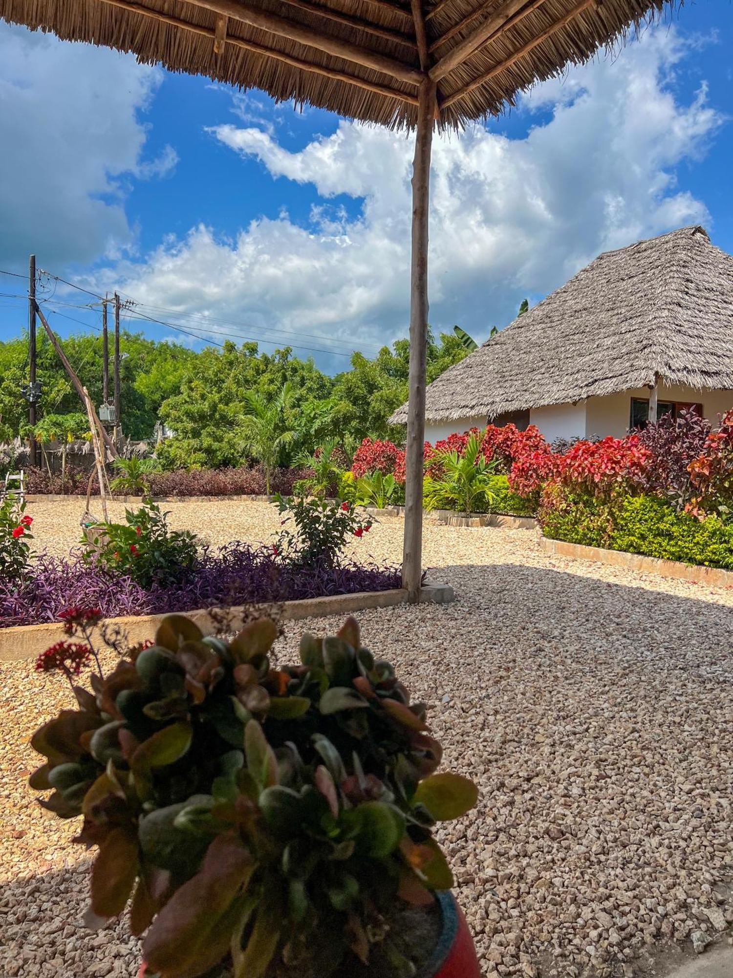 Kokopelli Bungalows Nungwi Zewnętrze zdjęcie